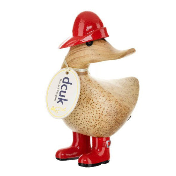 Rainy Day Ducky 1