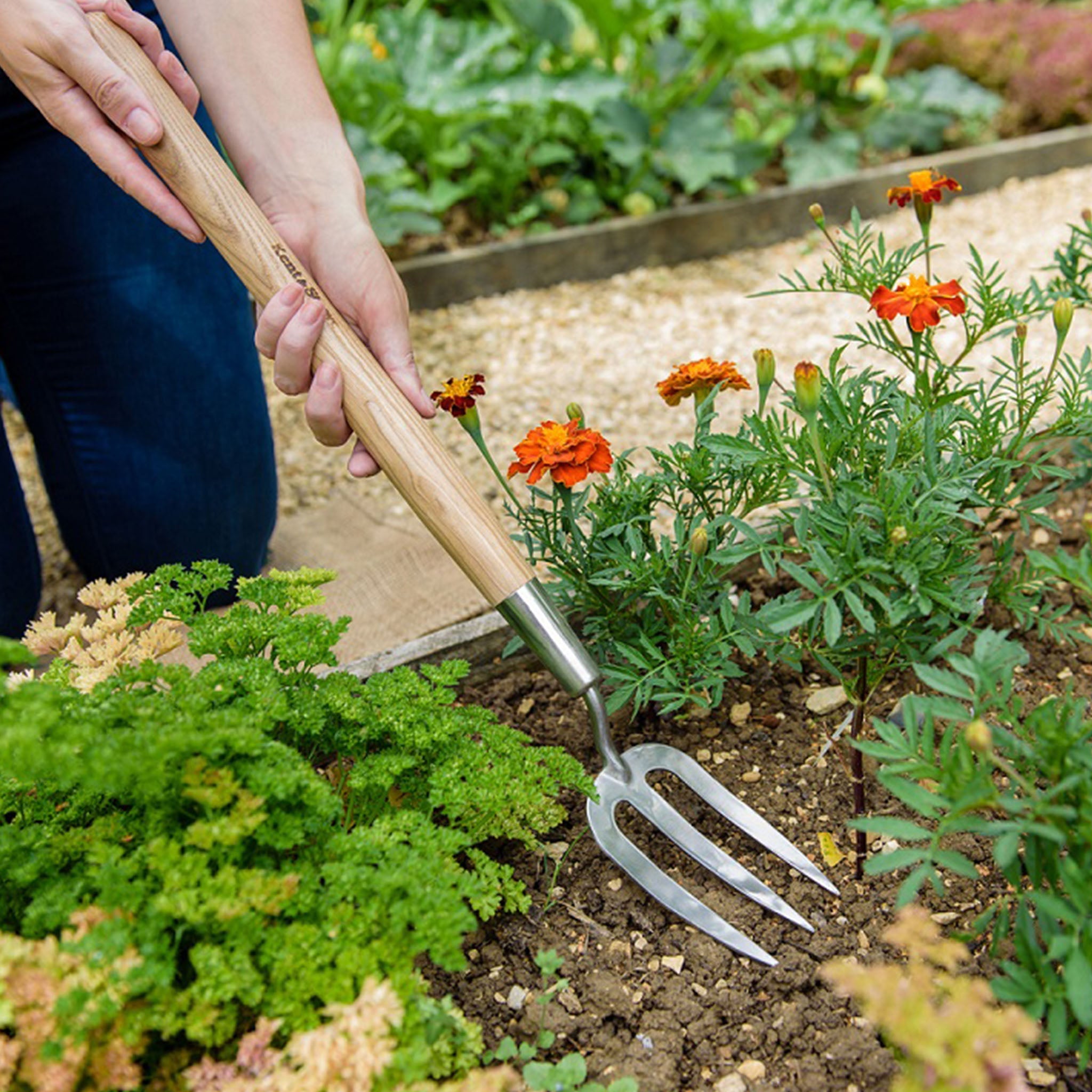 Kent & Stowe Stainless Steel Border Hand Fork detail