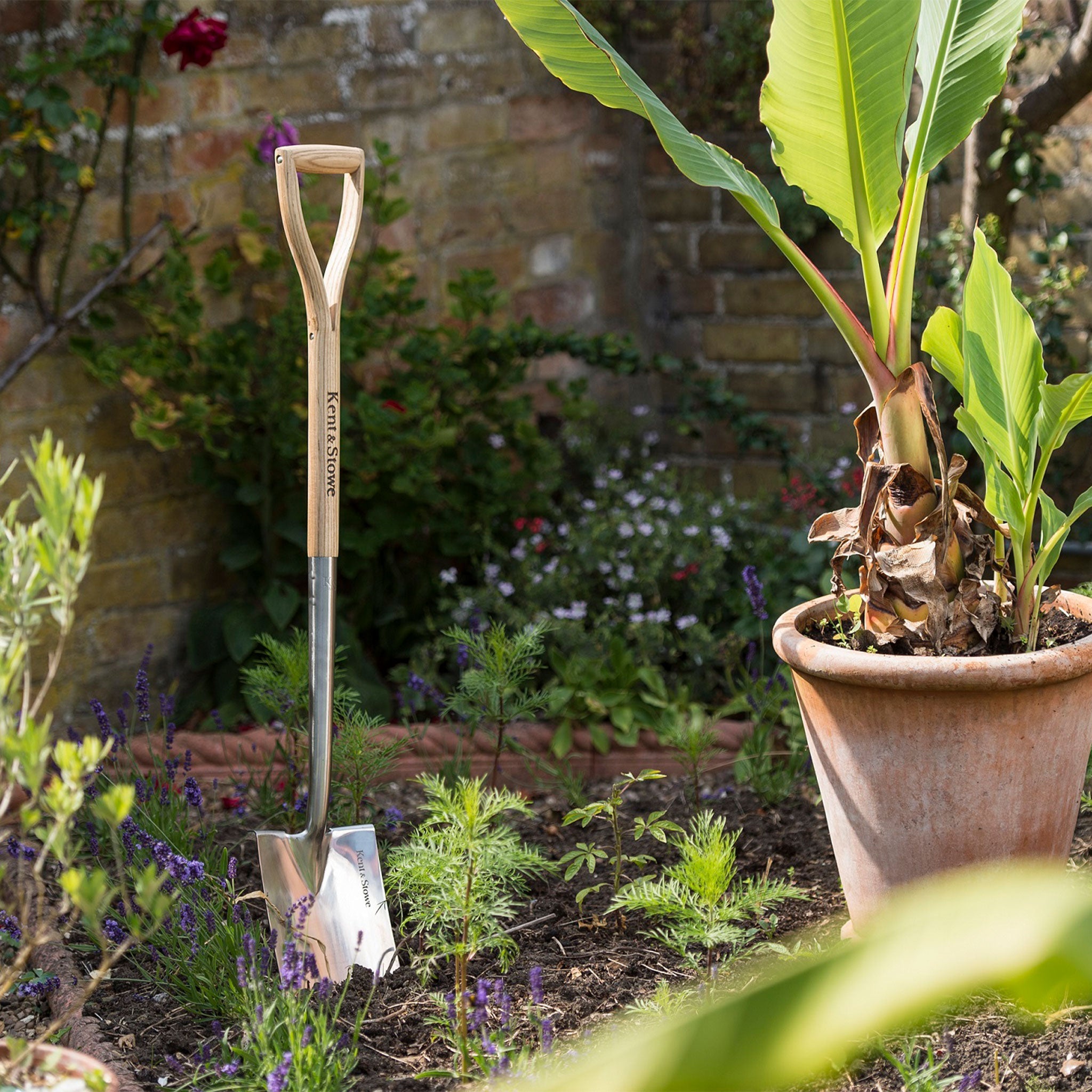 Kent & Stowe Stainless Steel Border Spade in use