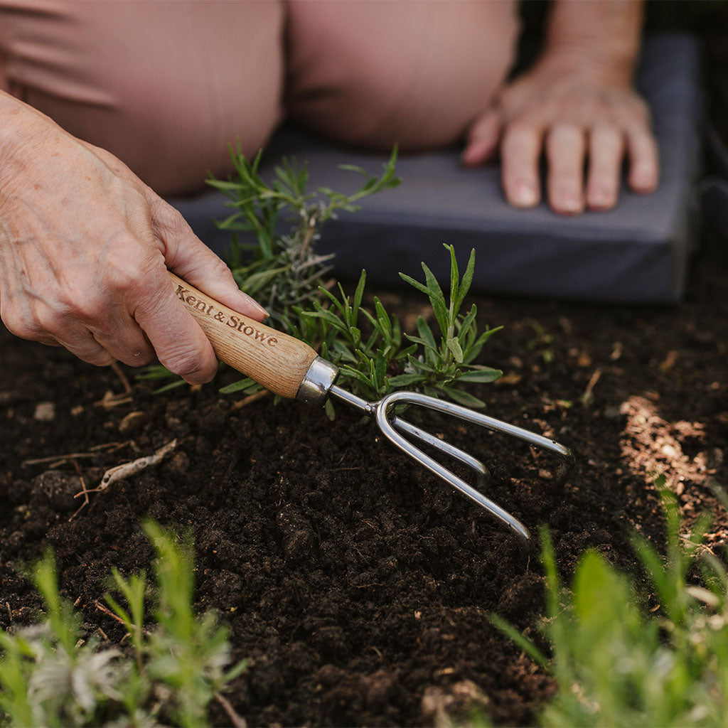 Kent & Stowe Stainless Steel Hand 3 Prong Cultivator detail