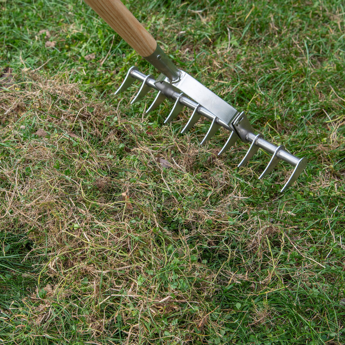 Kent & Stowe Stainless Steel Scarifier in use