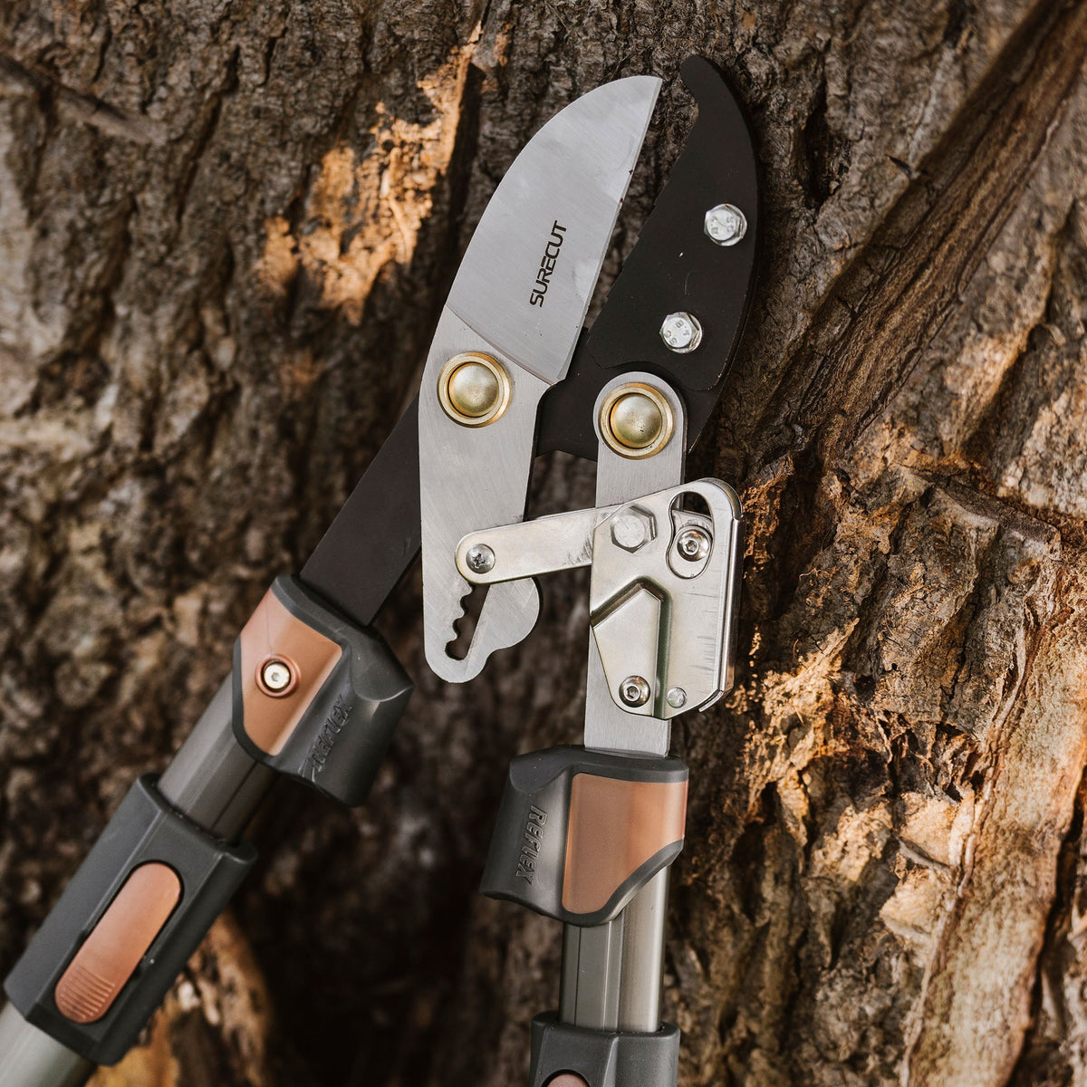 Kent & Stowe SureCut Extra Power Hard Wood Ratchet Loppers detail