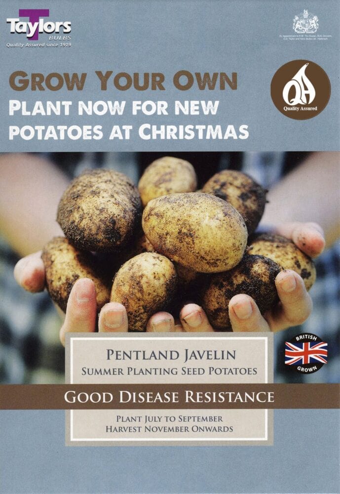 Taylors Bulbs Pentland Javelin seed potatoes